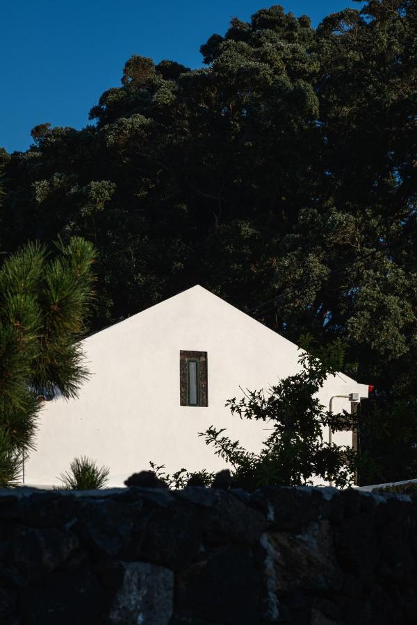 Entre Muros - Turismo Rural - Casa Com Jardim E Acesso Direto Ao Mar Ribeira Grande Kültér fotó